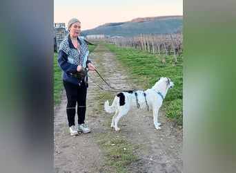 Marni - Dieses Herz hat schon zu lange gewartet