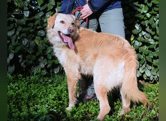 Rodman - läuft sich die Seele wund