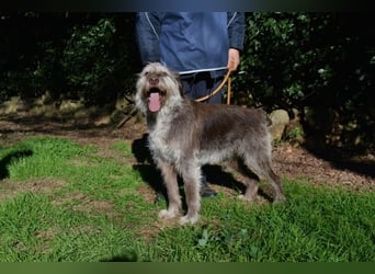Minnie - Nach 7 Jahren Unglück endlich 7 Jahre Glück?