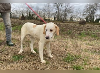 Deddy -  Mit neugierigen Pfoten ins Leben