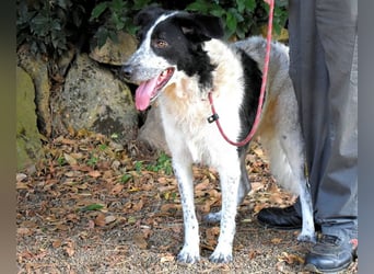 Jessie - Wer nicht neugierig ist, erfährt nichts