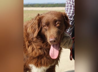 Beckey - Berufswunsch Prinzessin