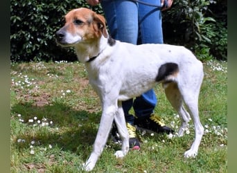 Kamyll - Findet er Sie...