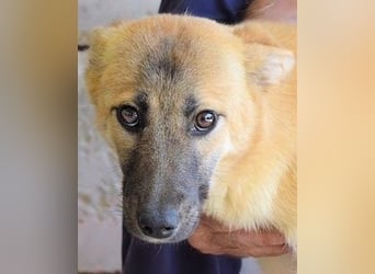 Olympia - "Und wenn sie nicht weg sind....