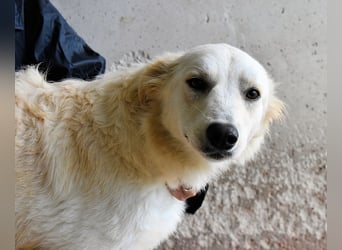 Sadye - Liebevolle Zuwendung....