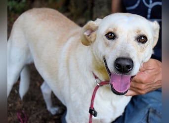 Hughie - macht ein Freundschaftsangebot