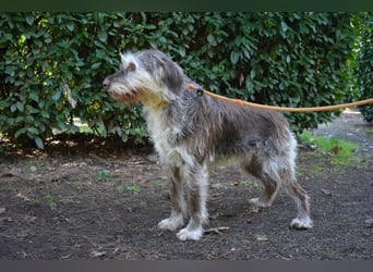 Minnie - Nach 7 Jahren Unglück endlich 7 Jahre Glück?