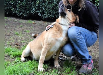 Kairo - möchte einfach nur genießen