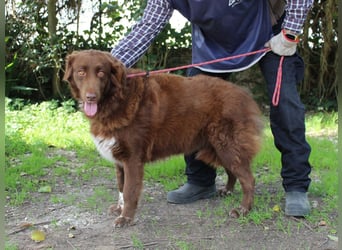 Beckey - Berufswunsch Prinzessin