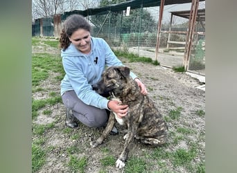 Ludwig - Nur Mädchen erlaubt