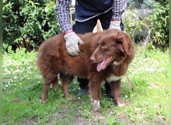 Beckey - Berufswunsch Prinzessin