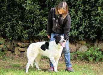 Jasmine - Wer nicht neugierig ist, erfährt nichts!