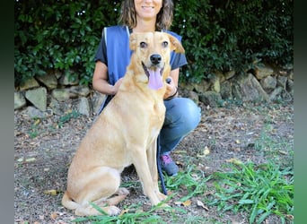 Lilyrose - als kleine Muschel ins Glück!