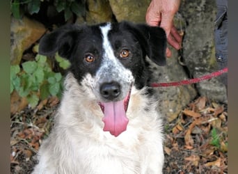 Jessie - Wer nicht neugierig ist, erfährt nichts