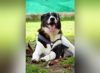 Coraggio - Schritt für Schritt ins Leben zurück