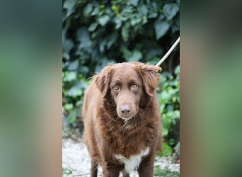 Beckey - Berufswunsch Prinzessin