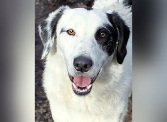 Marni - Bereit für ihr eigenes kleines Glück