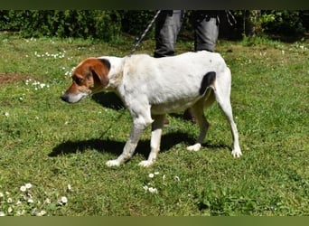 Kamyll - Findet er Sie...