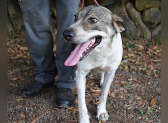 Helder - spricht für sich