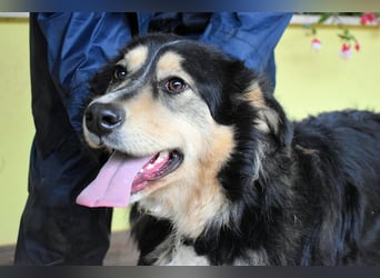 Oliverio - ohne Anklage hinter Gittern