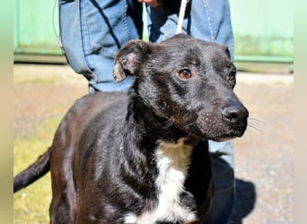 Rhino - NOTFALL !!! - Wenn man nicht auffällt, geht man unter