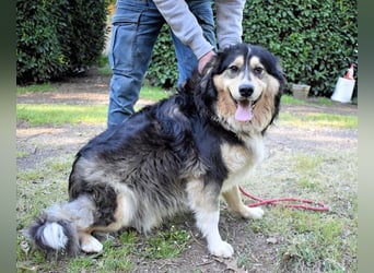 Oliverio - ohne Anklage hinter Gittern