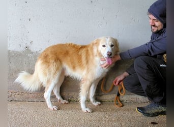 Tirvian - Kurz Alarm, dann Charme