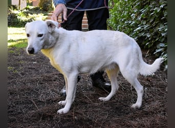 Dafnielle - Zukunft gesucht