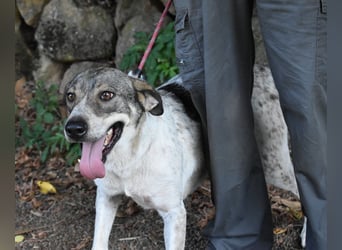 Helder - spricht für sich
