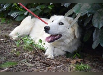 Franky - bereit für das Abenteuer Leben