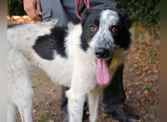 Jasmine - Wer nicht neugierig ist, erfährt nichts!