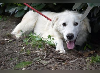 Franky - bereit für das Abenteuer Leben