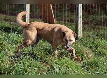 Life - Life will mehr vom Leben - und das zeigt er deutlich!