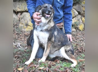 Silvana - im Eilschritt nach Hause?