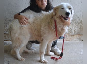 Bailoch - Zeig mir doch bitte...