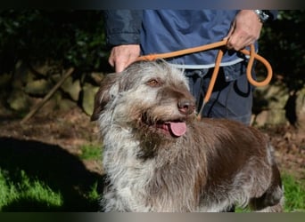 Minnie - Nach 7 Jahren Unglück endlich 7 Jahre Glück?
