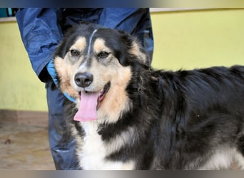 Oliverio - ohne Anklage hinter Gittern