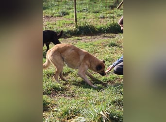 Life - Life will mehr vom Leben - und das zeigt er deutlich!