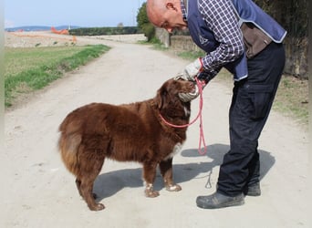 Beckey - Berufswunsch Prinzessin