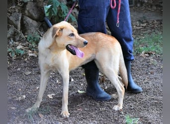 Lilyrose - als kleine Muschel ins Glück!