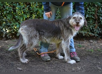 Minnie - Nach 7 Jahren Unglück endlich 7 Jahre Glück?