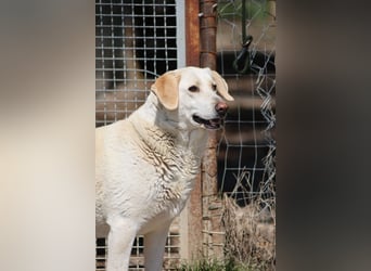 Patty - leise Schritte, große Hoffnung