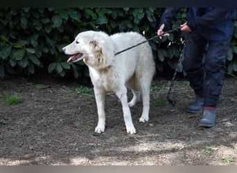 Florenz - bereit für das Abenteuer Leben