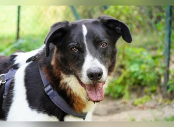 Coraggio - Schritt für Schritt ins Leben zurück