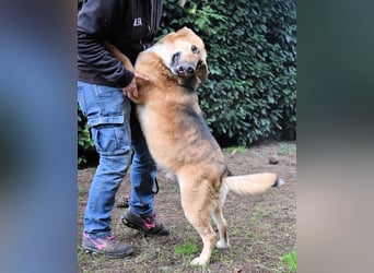 Kairo - möchte einfach nur genießen