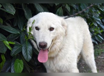 Florenz - bereit für das Abenteuer Leben