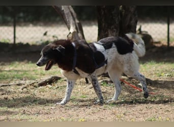 Cambiamento - lasst uns sein Leben verändern