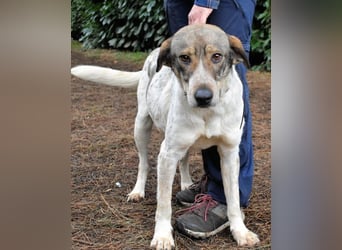 Helder - spricht für sich