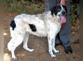 Jessie - Wer nicht neugierig ist, erfährt nichts