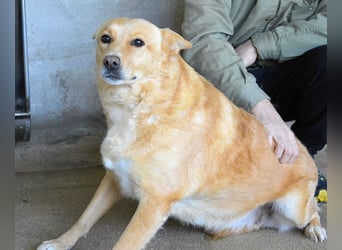 Ariana - lange sitzen sie schon da und haben es schwer